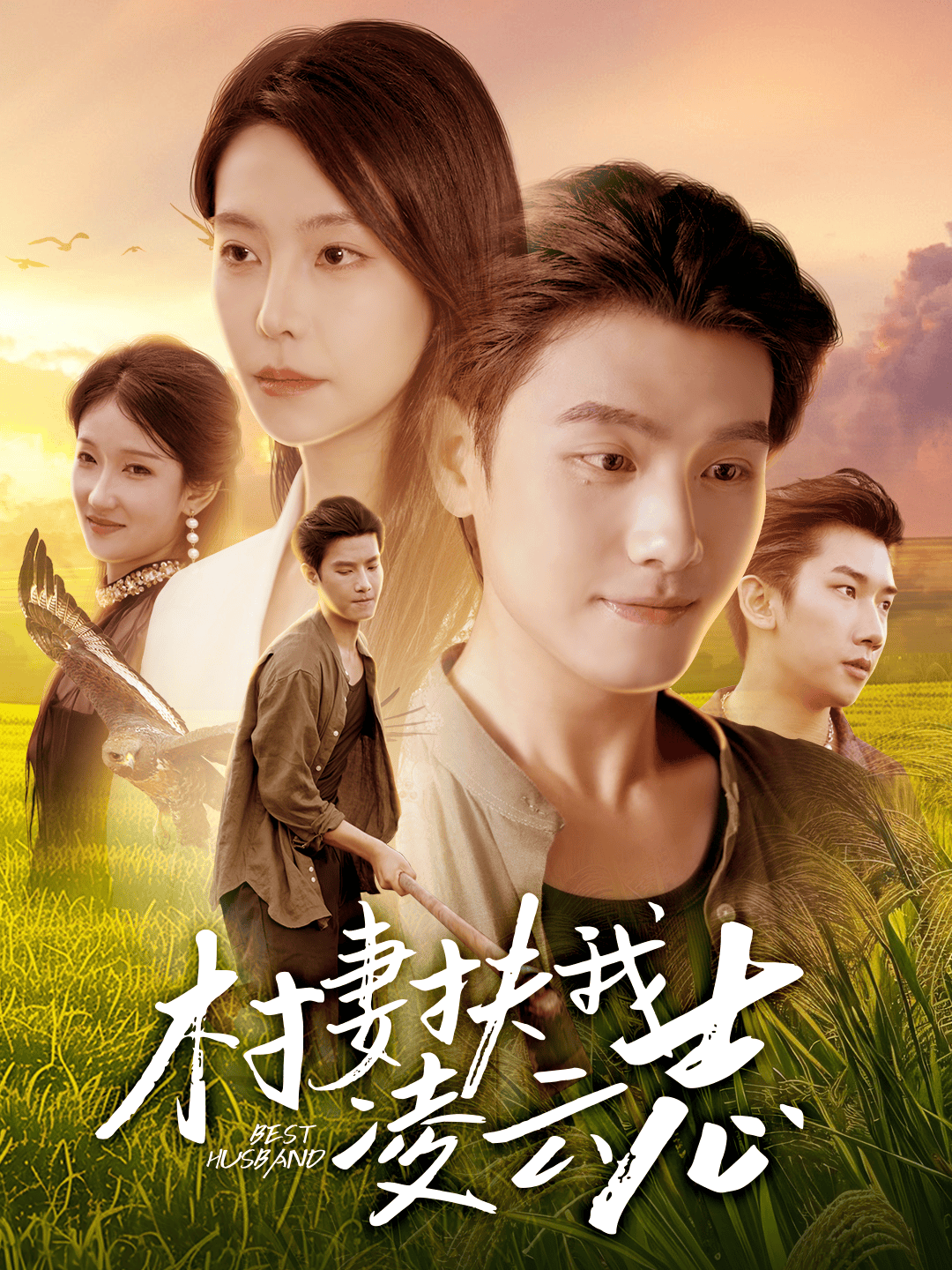 村妻扶我凌云志(全集)