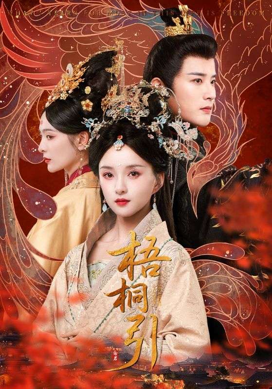 梧桐引(全集)