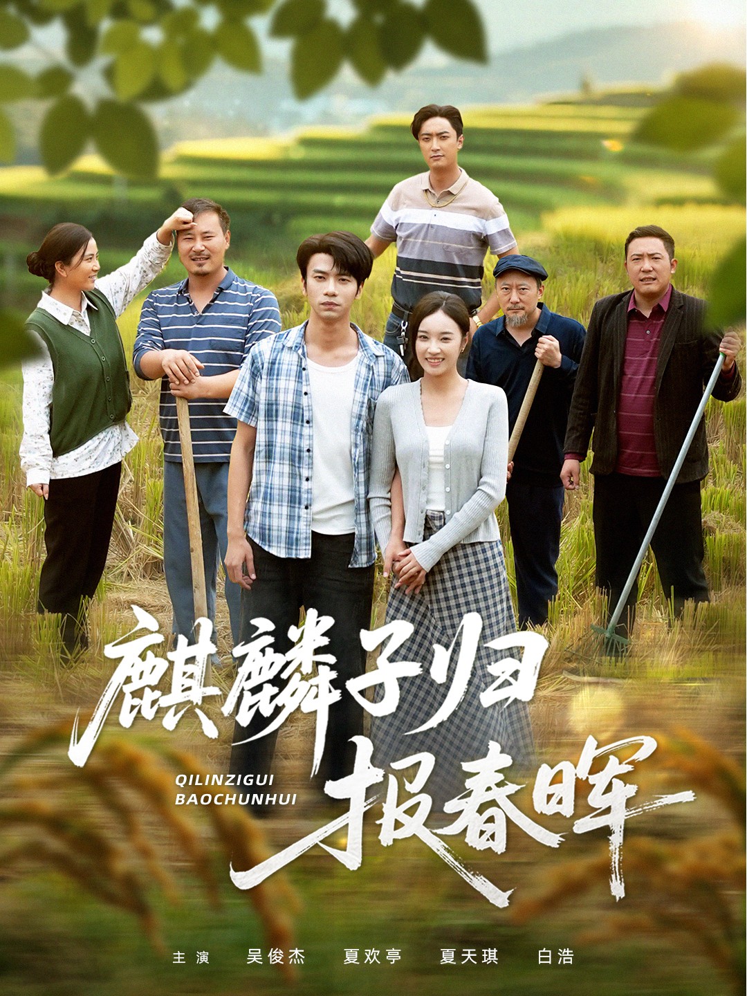 麒麟子归报春晖(全集)