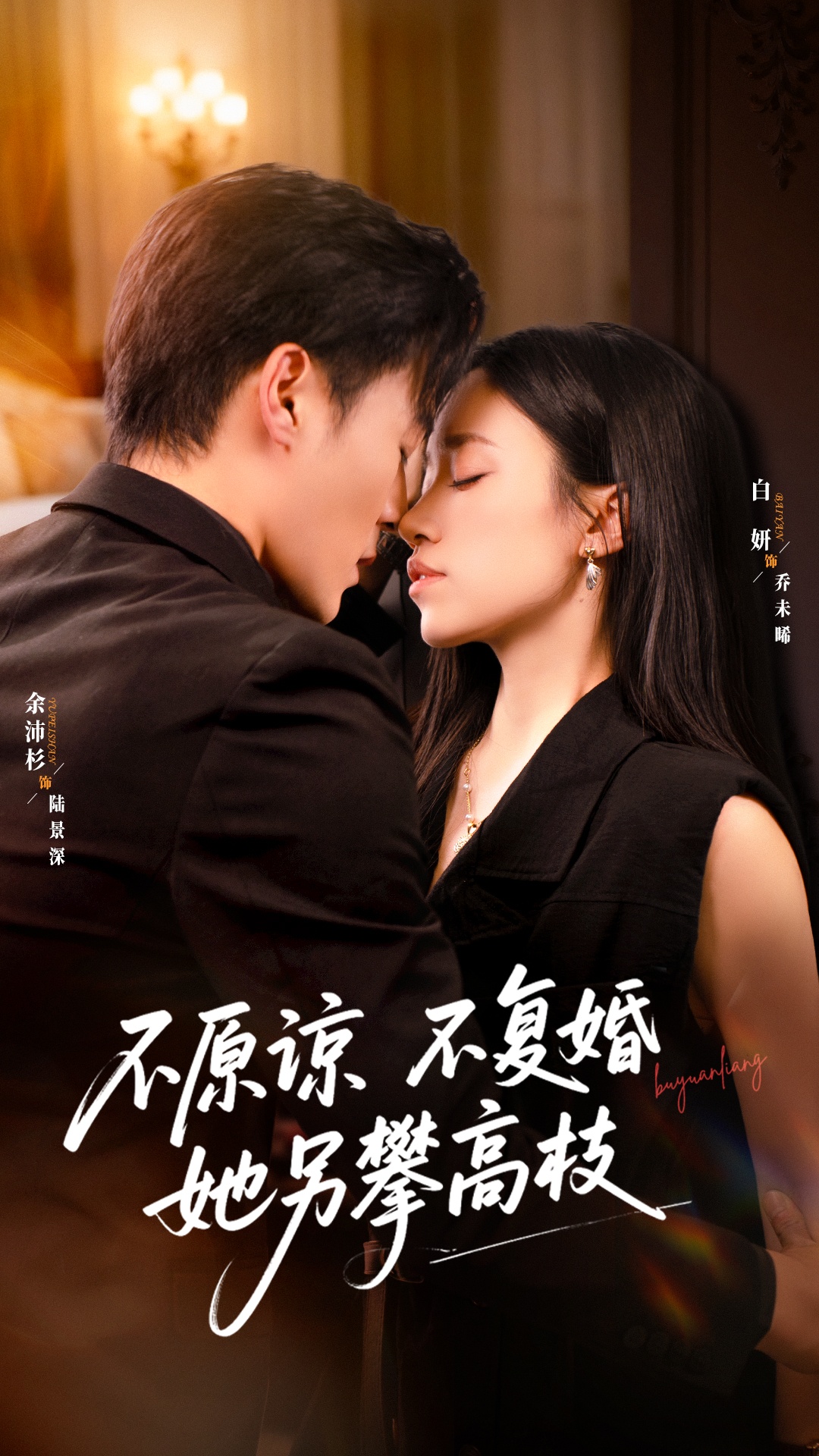 不原谅不复婚她另攀高枝(全集)