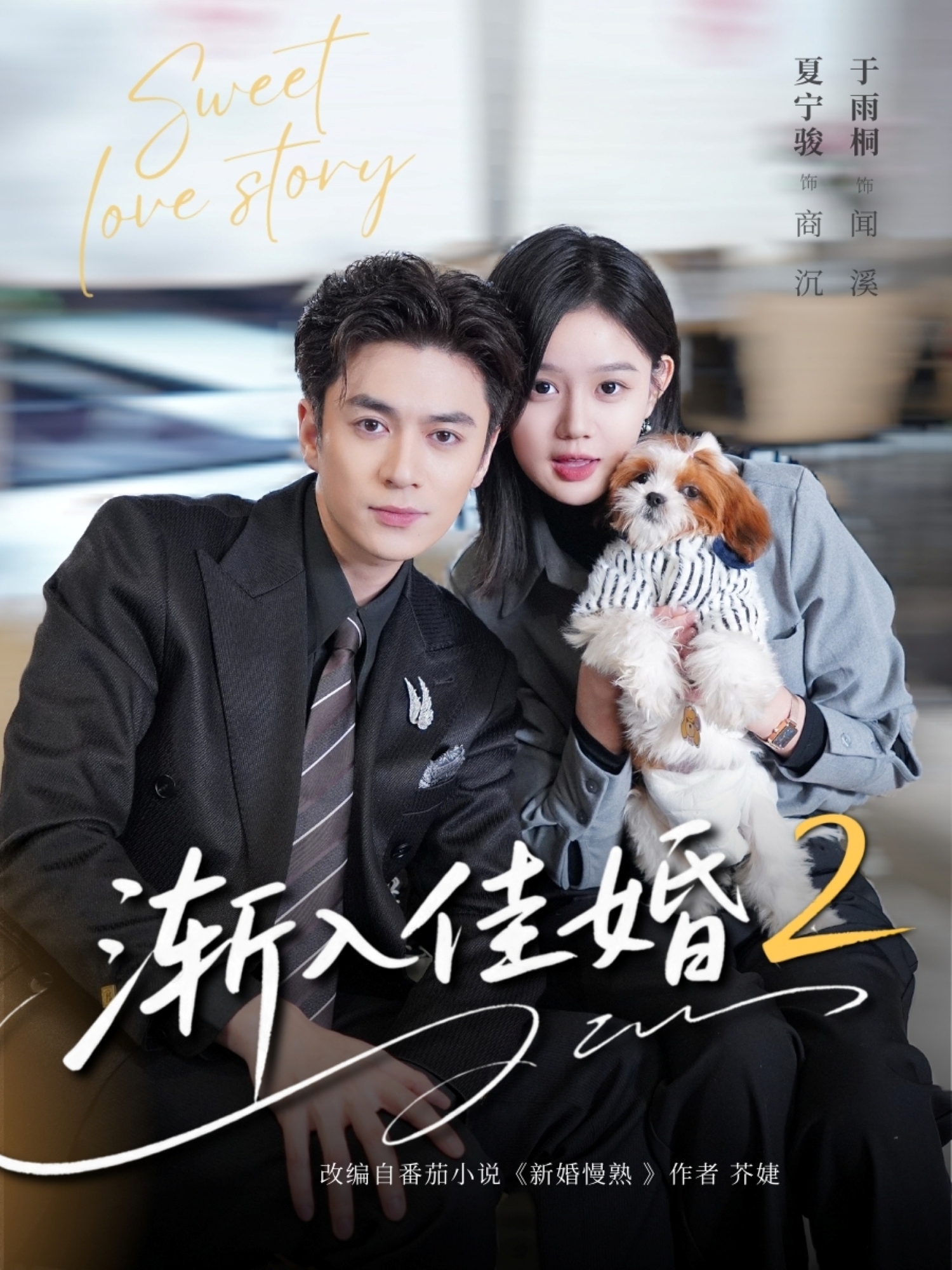 渐入佳婚2(全集)