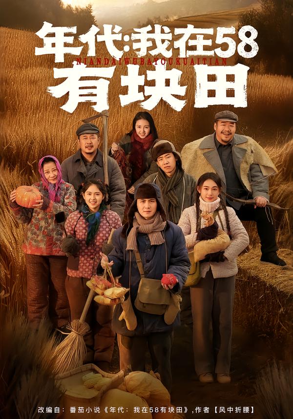 年代我在58有块田(全集)