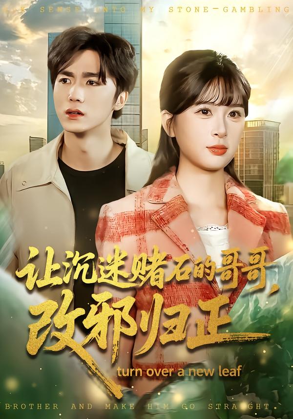 让沉迷赌石的哥哥，改邪归正 第49集