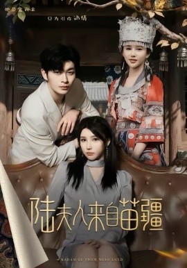 陆夫人来自苗疆(全集)