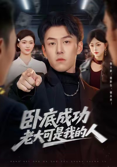 卧底成功老大可是我的人(全集)